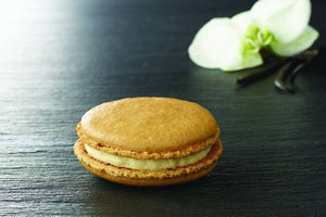 Le macaron vanille (minimum 15)